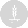 Crop Protection