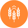 BioSolutions Icon