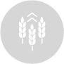 BioSolutions