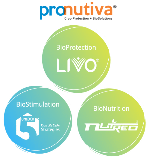 pronutiva