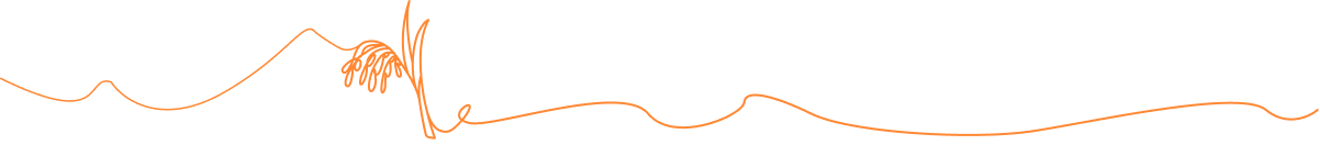 Line Image