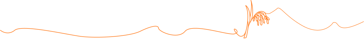 Line Image