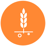 crop protection and nutrition