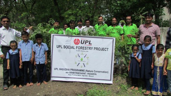 social-forestry-group