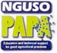 nguso-papa