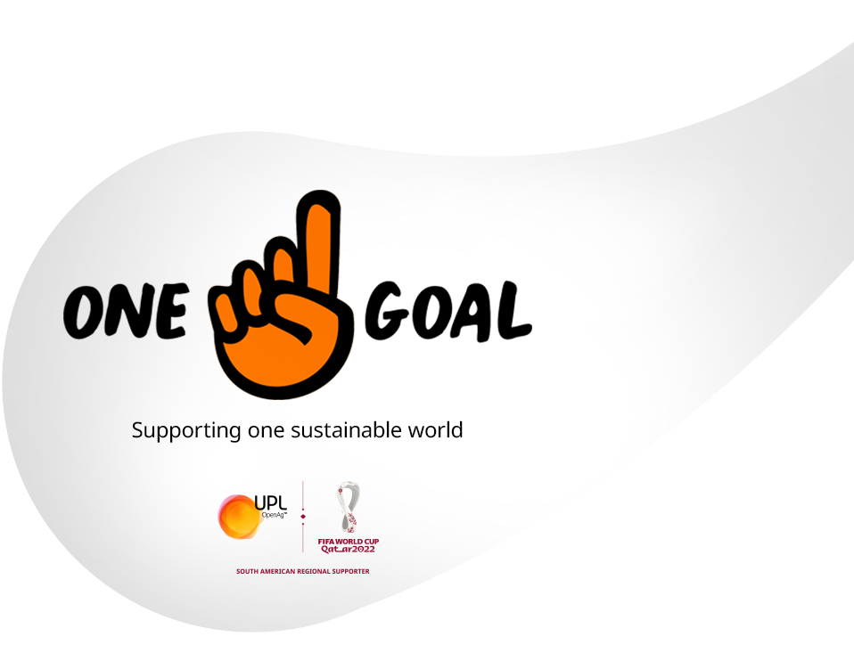 One goal stroke