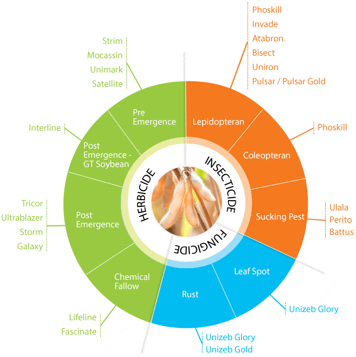 food security paddy