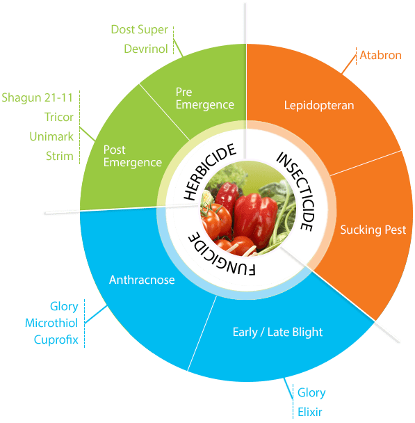 food security paddy