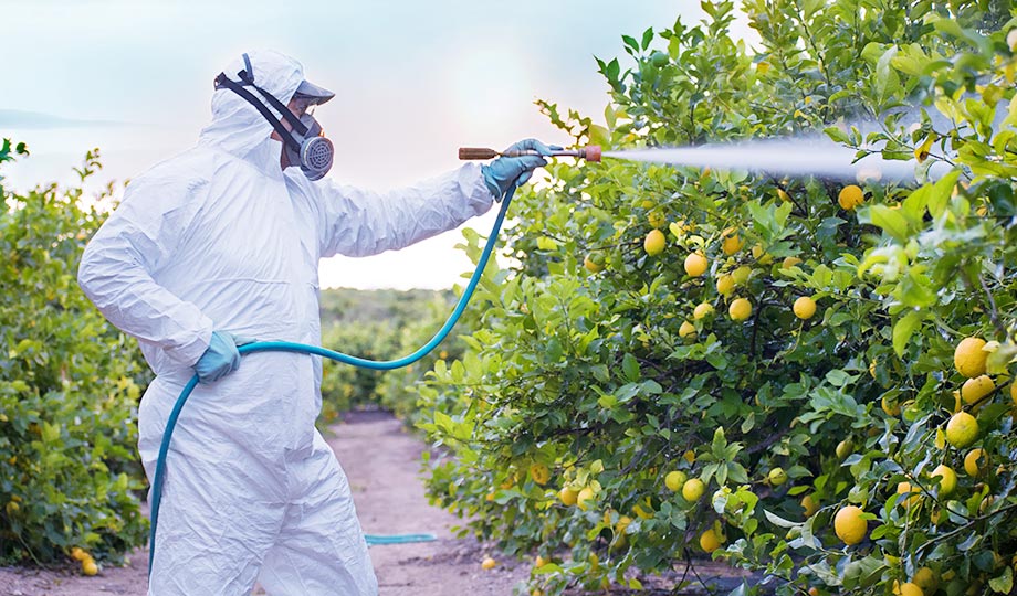 Fungicide For Plants: Types, Importance & Advantages | UPL