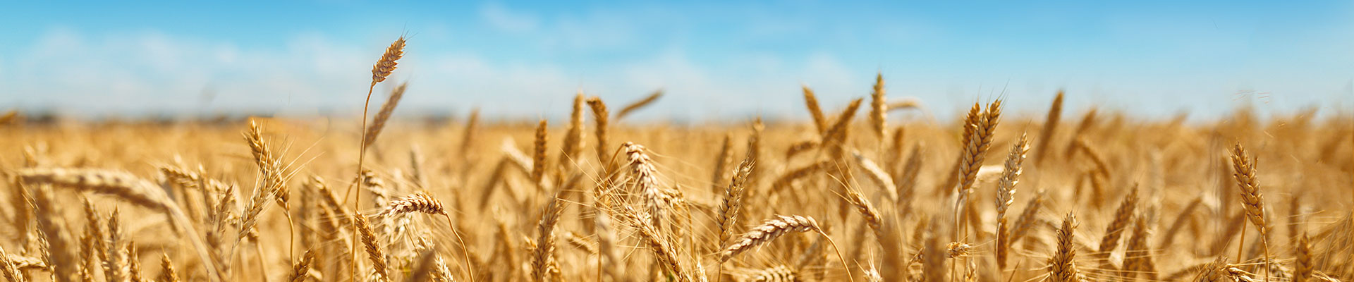 Herbicides Banner