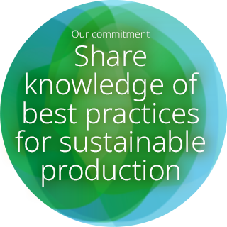upl iyfv facilitate collaborative initiatives
