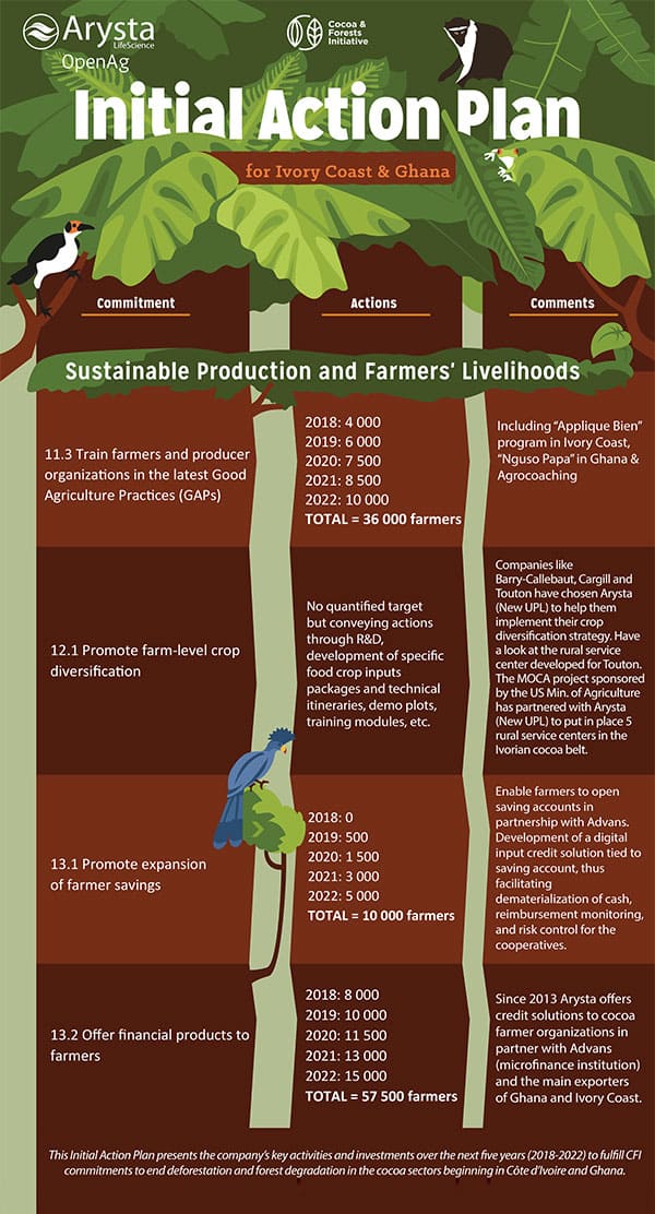 Cacao-Leaflet