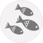 fishery