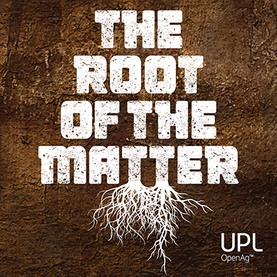 The Root of the Matter Artwork