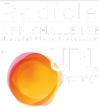 Radicle Challenge