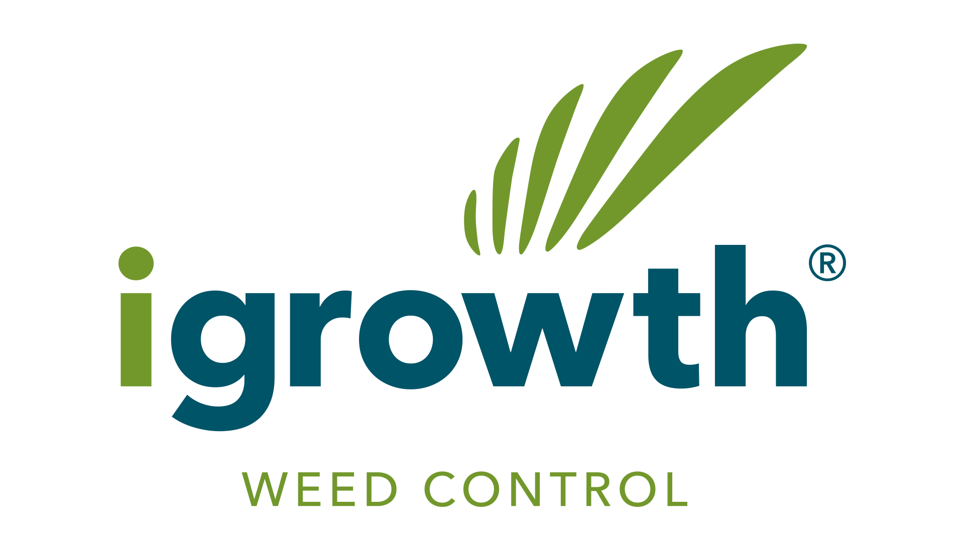 I-Growth Logo