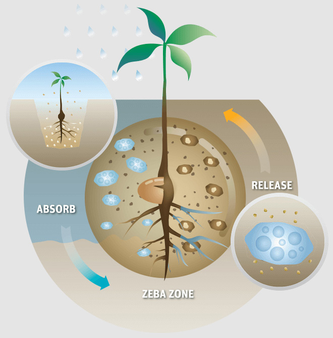 Zeba Soil and Water Conservation