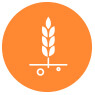 technologies_crop-protection