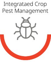 Integrataed Crop Pest Management Icon