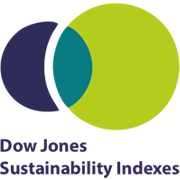 Dow Jones Sustainability Index Logo