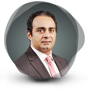 Mr. Pradeep Goyal