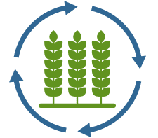 Sustainable Agriculture- ProNutiva program